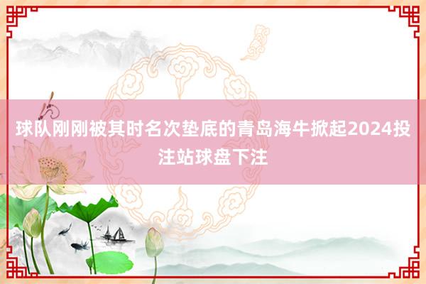 球队刚刚被其时名次垫底的青岛海牛掀起2024投注站球盘下注