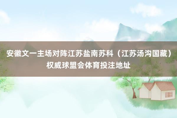 安徽文一主场对阵江苏盐南苏科（江苏汤沟国藏）权威球盟会体育投注地址