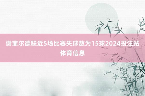 谢菲尔德联近5场比赛失球数为15球2024投注站体育信息