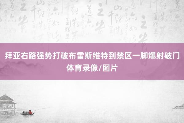 拜亚右路强势打破布雷斯维特到禁区一脚爆射破门体育录像/图片